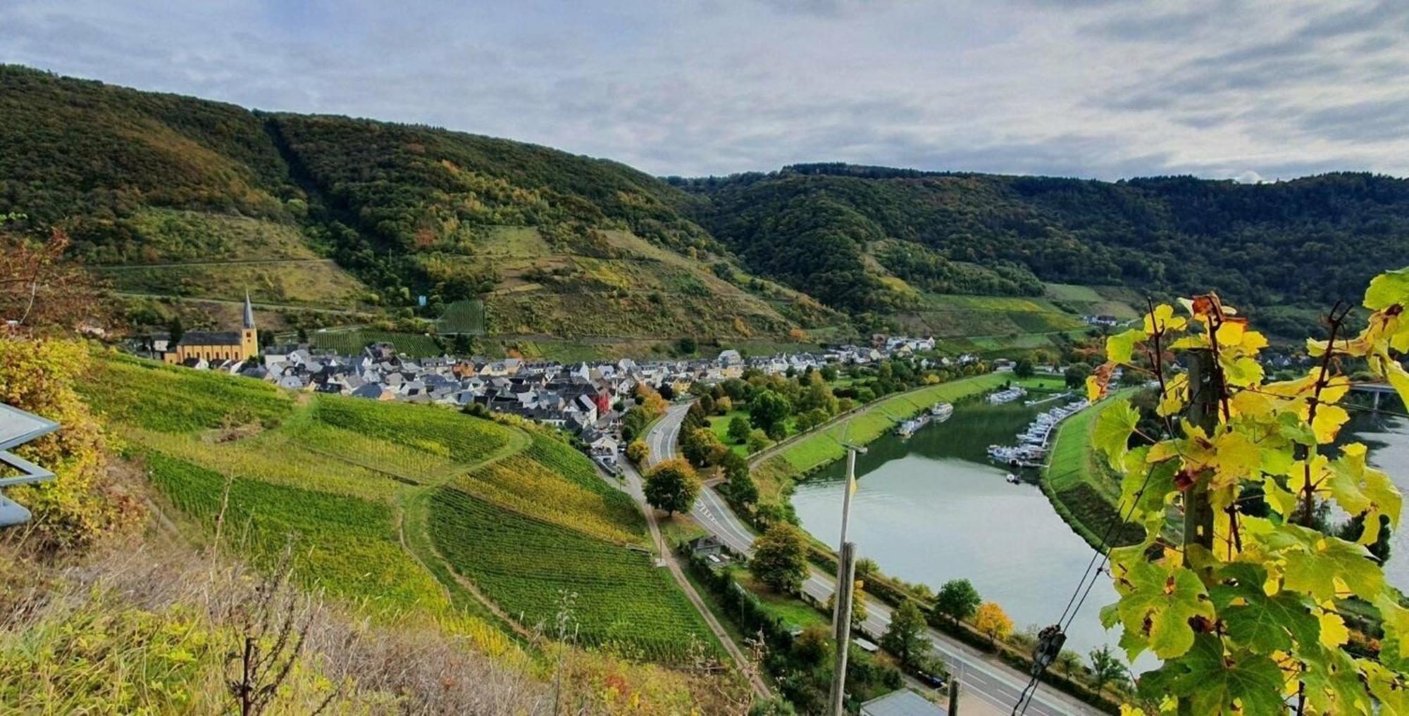 Ferienwohnung An Der Mosel, Romeo Senheim Buitenkant foto